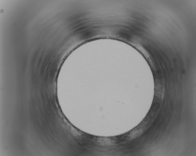 X0000088410807200706191421