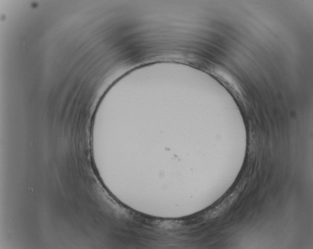 X0000088410808200706191421