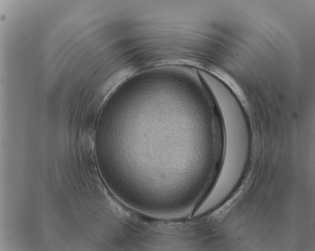 X0000088410809200706191421