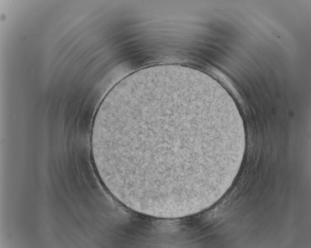 X0000088410810200706191421