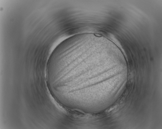 X0000088410811200706191421