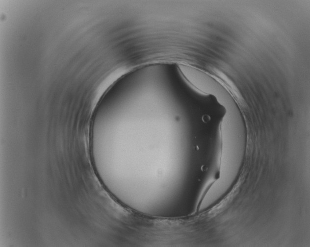 X0000088410812200706191421