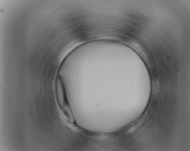 X0000088410814200706191421