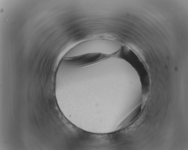 X0000088410816200706191421