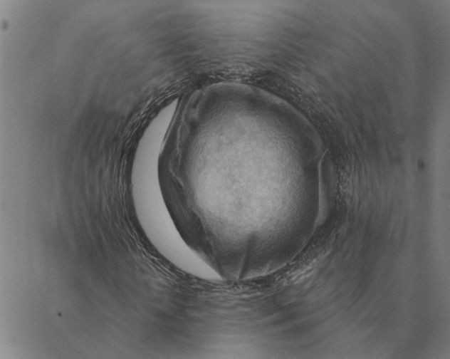 X0000088410818200706191420