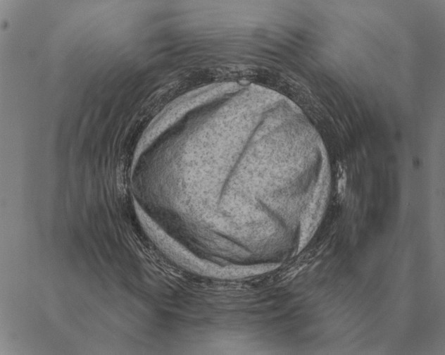 X0000088410819200706191420