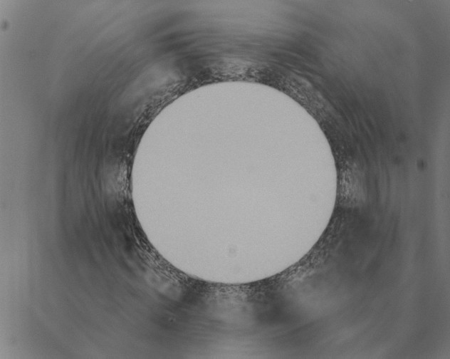 X0000088410820200706191420