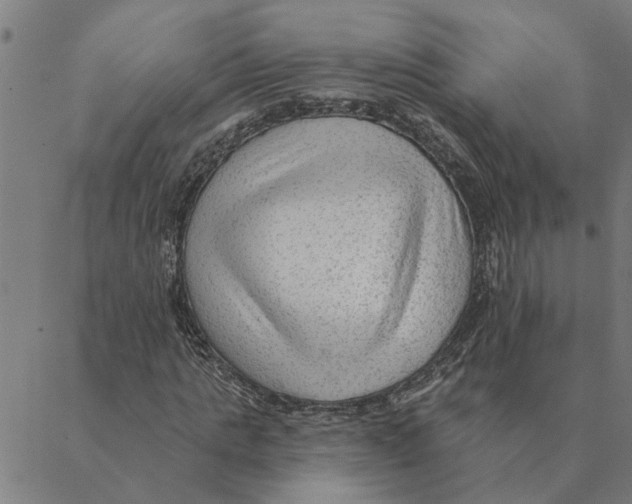 X0000088410821200706191420