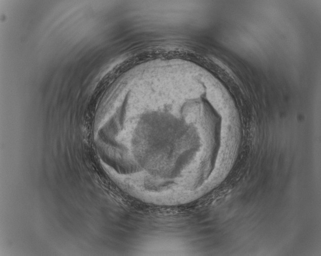 X0000088410823200706191420