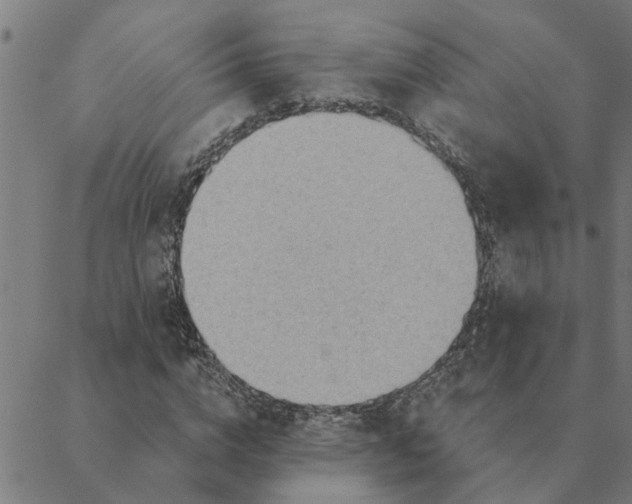 X0000088410824200706191420