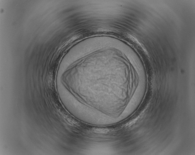 X0000088410825200706191420