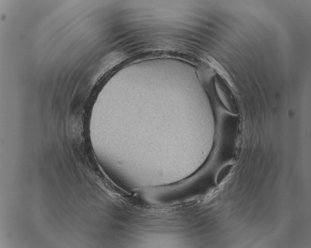 X0000088410826200706191420