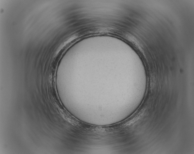 X0000088410827200706191420