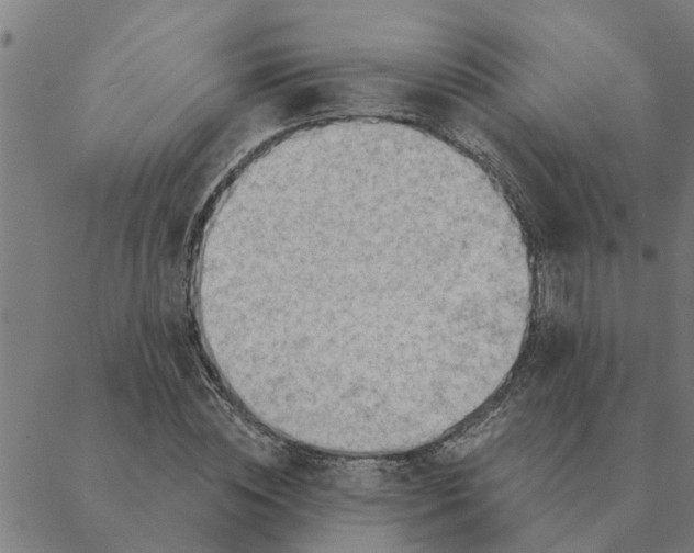 X0000088410828200706191420