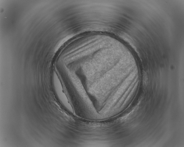 X0000088410829200706191420