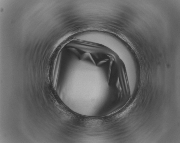 X0000088410830200706191420