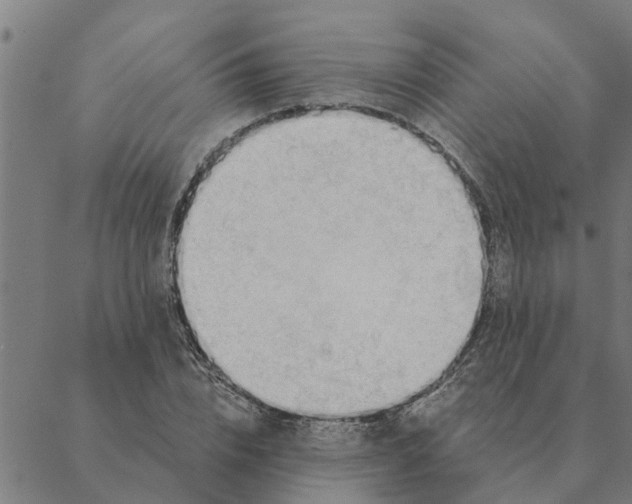 X0000088410832200706191420