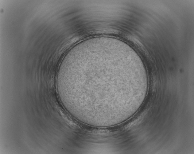 X0000088410833200706191420