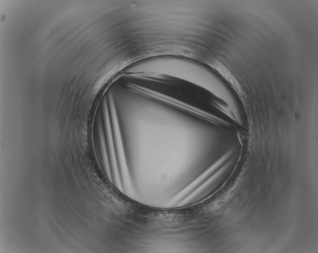 X0000088410834200706191420