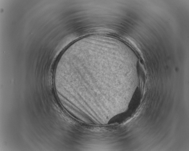 X0000088410835200706191420