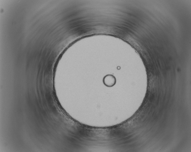 X0000088410836200706191420