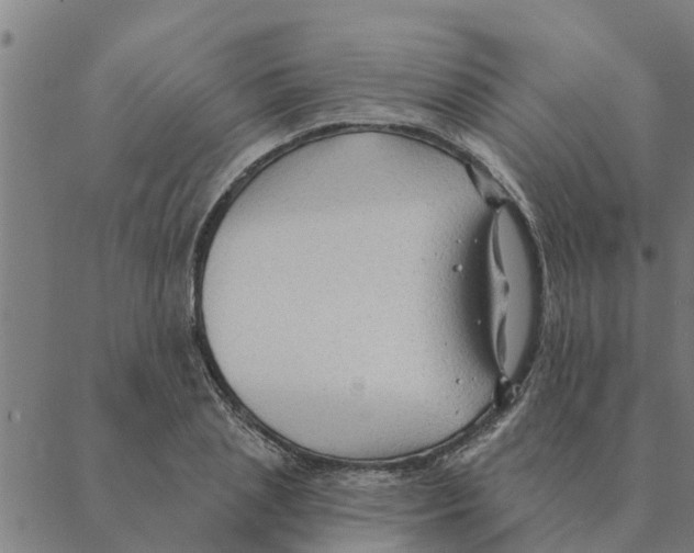 X0000088410837200706191420