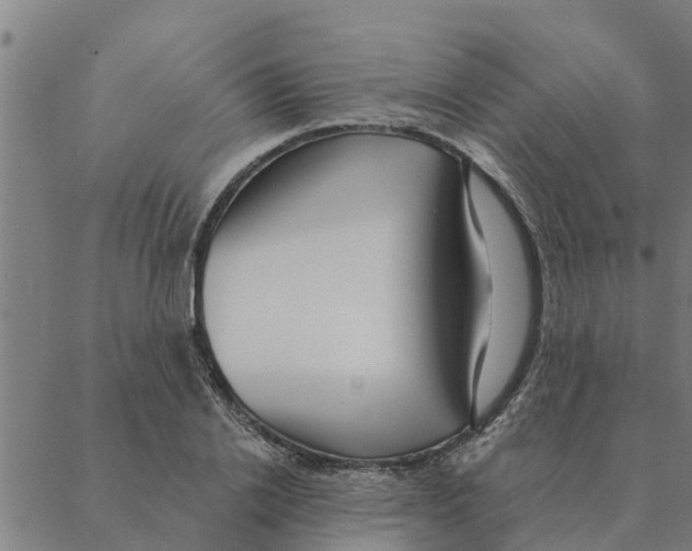 X0000088410838200706191420