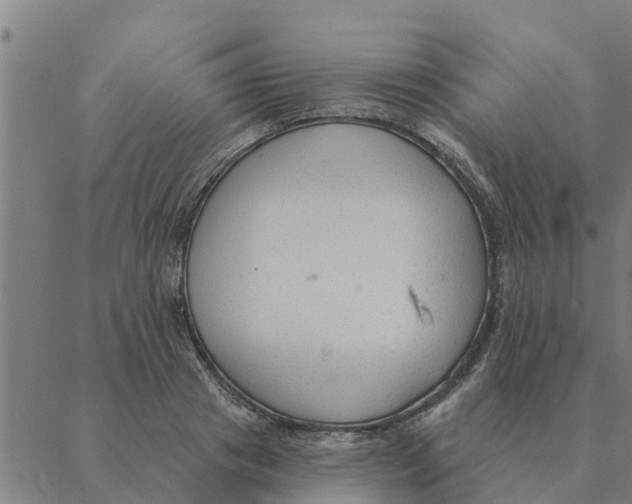 X0000088410841200706191420