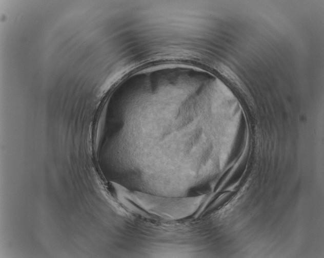 X0000088410842200706191420