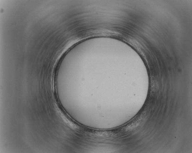 X0000088410843200706191420