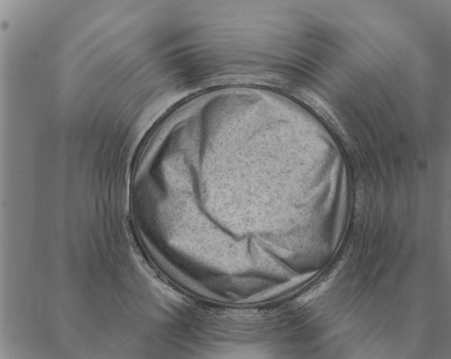 X0000088410844200706191420