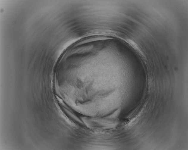 X0000088410846200706191420