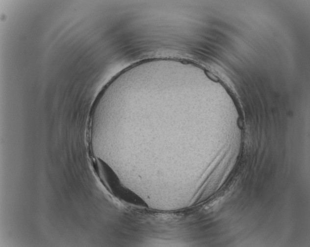 X0000088410847200706191420