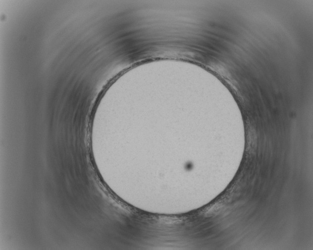 X0000088410848200706191420