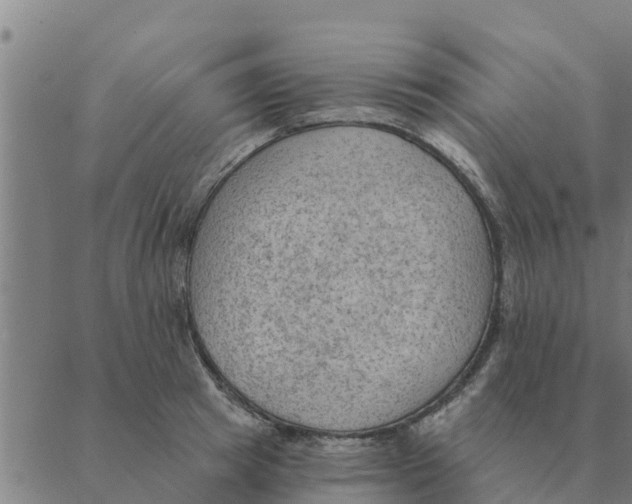 X0000088410849200706191420