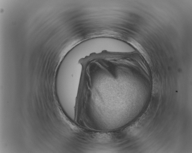 X0000088410850200706191420