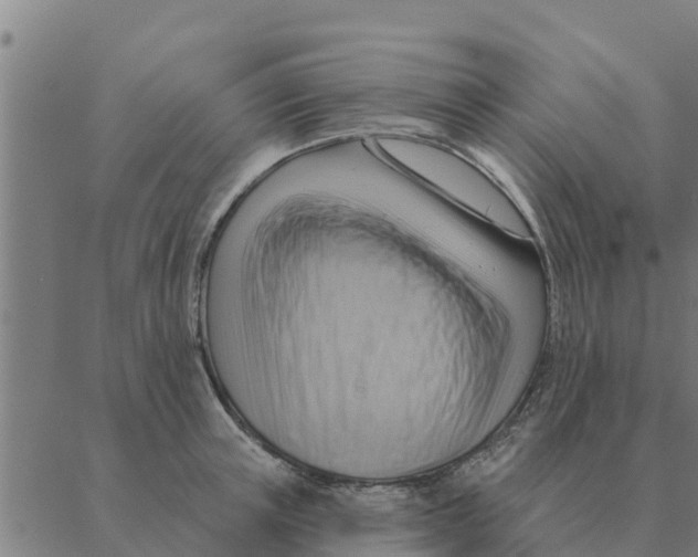 X0000088410851200706191420