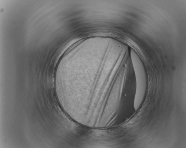 X0000088410852200706191420