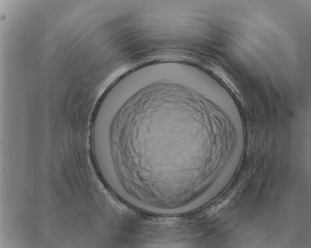 X0000088410853200706191420