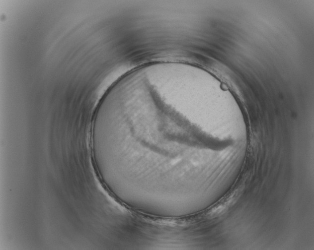 X0000088410855200706191420