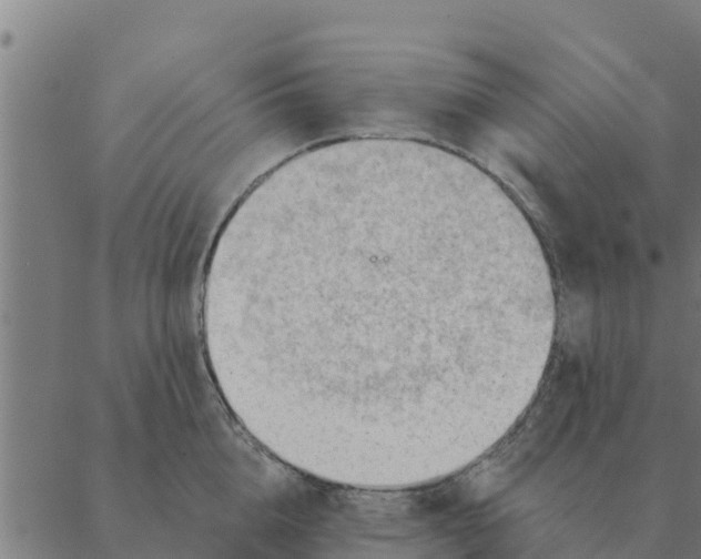 X0000088410856200706191420