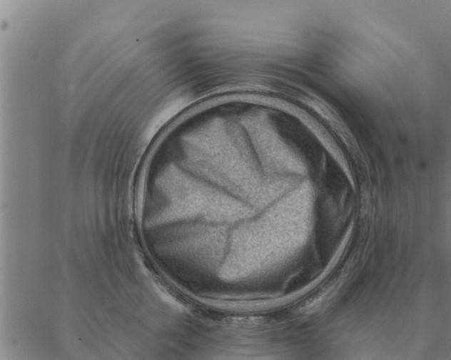 X0000088410858200706191420