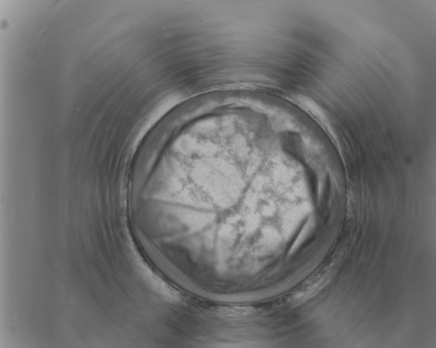 X0000088410859200706191420