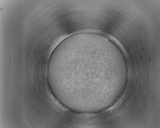 X0000088410860200706191420