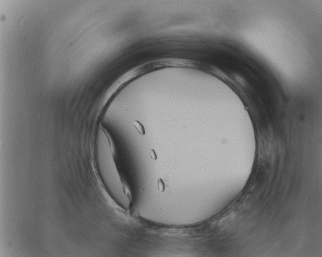 X0000088410861200706191421