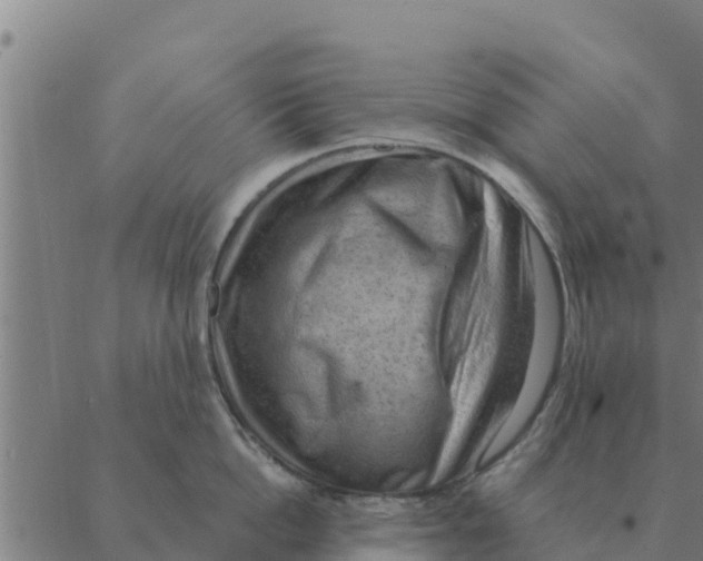 X0000088410862200706191421