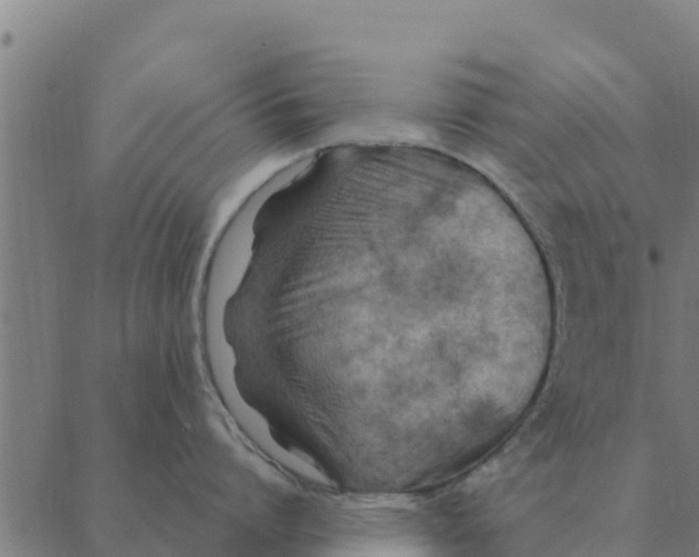 X0000088410864200706191421