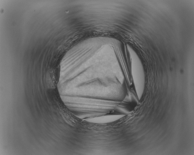 X0000088410868200706191420