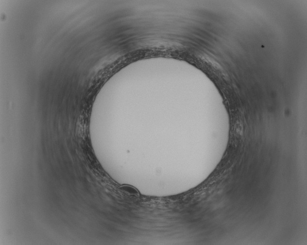 X0000088410869200706191420