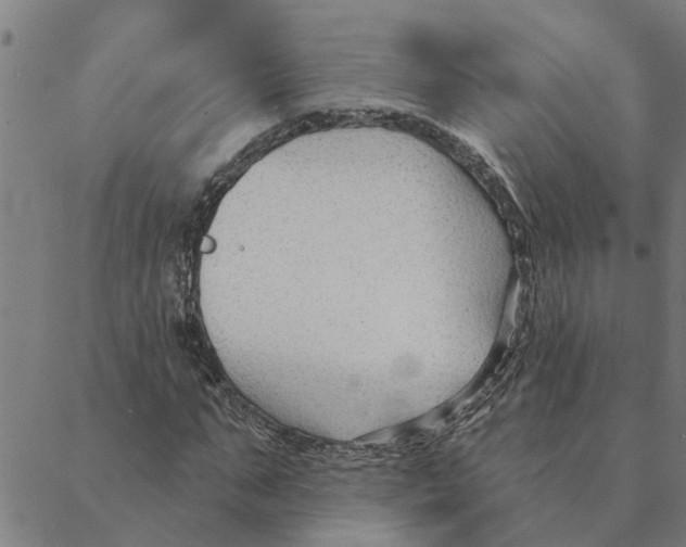 X0000088410871200706191420